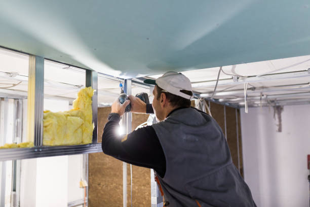 Best Professional Insulation Contractor  in Fairfield Beach, OH